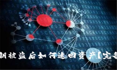 TPWallet私钥被盗后如何追回资产？完备指南与建议
