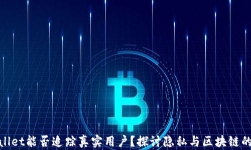 
tpwallet能否追踪真实用户？探讨隐私与区块链的边界