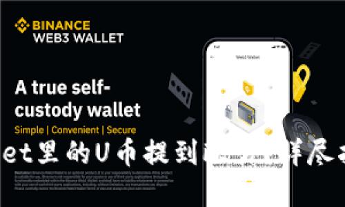 如何将TP Wallet里的U币提到欧易？详尽指南与实用技巧