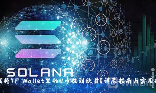 如何将TP Wallet里的U币提到欧易？详尽指南与实用技巧