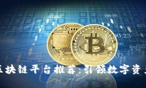 数字藏品区块链平台推荐：引领数字资产的新纪元