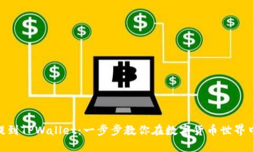 如何将BNB提到TPWallet：一步步教你在数字货币世界中的转账技巧