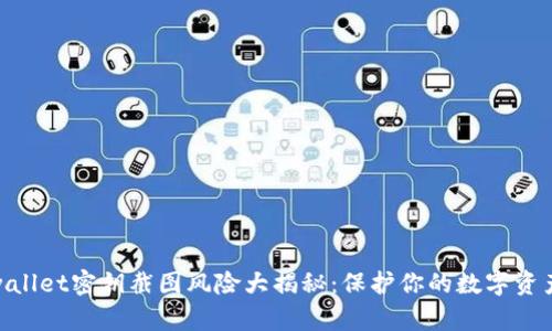 : tpwallet密钥截图风险大揭秘：保护你的数字资产安全