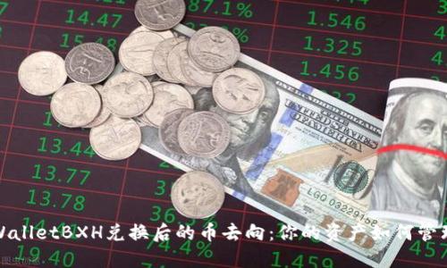 探索TPWalletBXH兑换后的币去向：你的资产如何管理与调配