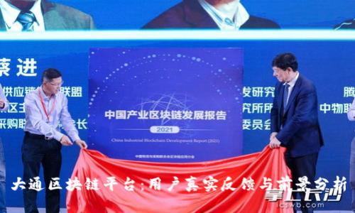 大通区块链平台：用户真实反馈与前景分析