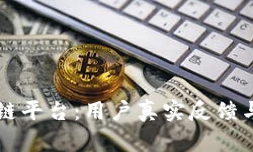大通区块链平台：用户真实反馈与前景分析