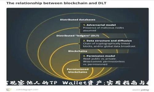 如何观察他人的TP Wallet资产：实用指南与技巧