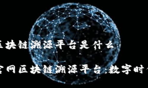 蚂蚁链官网区块链溯源平台是什么

探索蚂蚁链官网区块链溯源平台：数字时代的信任桥梁
