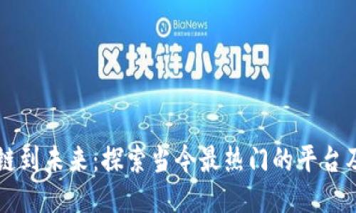 从区块链到未来：探索当今最热门的平台及其潜力