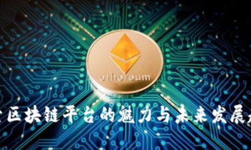 探索区块链平台的魅力与未来发展趋势