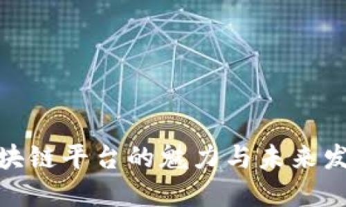 探索区块链平台的魅力与未来发展趋势