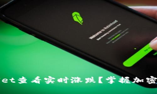 如何使用TPWallet查看实时涨跌？掌握加密货币市场的脉搏