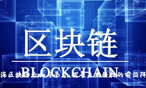 上海区块链大咖与平台：探寻未来科技的前沿阵地