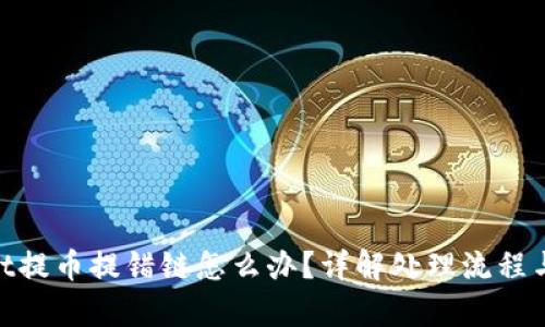 : tpwallet提币提错链怎么办？详解处理流程与预防措施