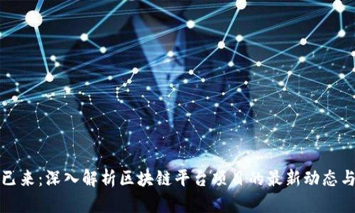 未来已来：深入解析区块链平台项目的最新动态与趋势