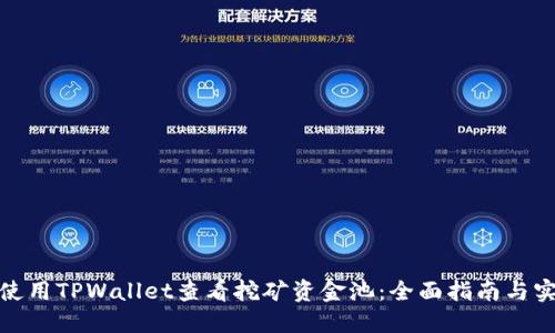 : 如何使用TPWallet查看挖矿资金池：全面指南与实用技巧