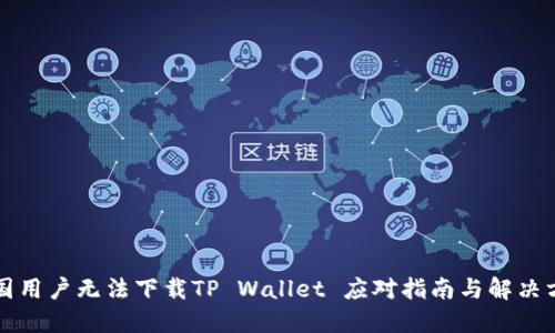 美国用户无法下载TP Wallet 应对指南与解决方案