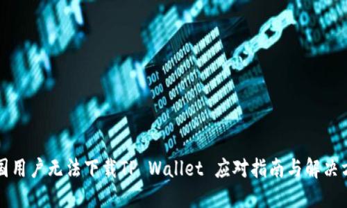 美国用户无法下载TP Wallet 应对指南与解决方案