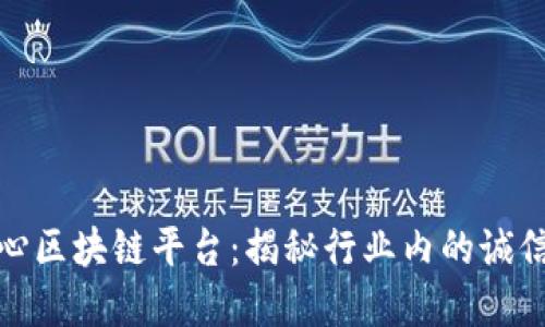 探索良心区块链平台：揭秘行业内的诚信与透明