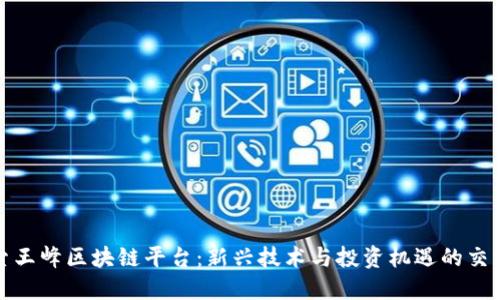 探索王峰区块链平台：新兴技术与投资机遇的交汇点