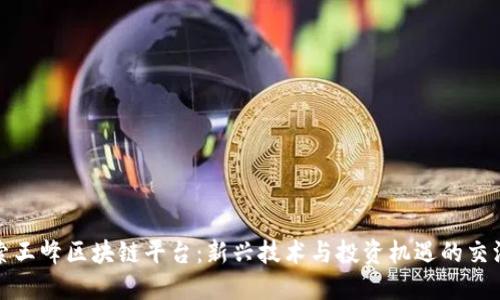 探索王峰区块链平台：新兴技术与投资机遇的交汇点