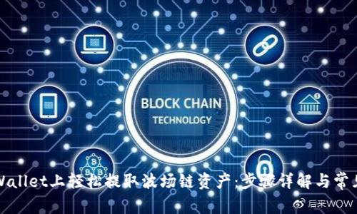 如何在TPWallet上轻松提取波场链资产：步骤详解与常见问题解答