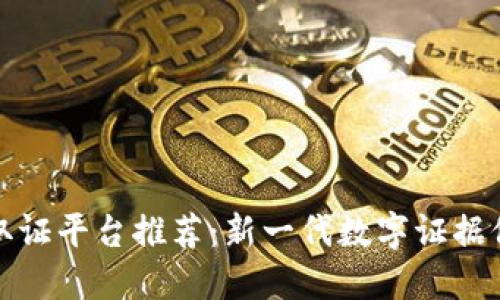 区块链取证平台推荐：新一代数字证据保全先锋