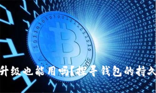 tpwallet不升级也能用吗？探寻钱包的持久性与可用性