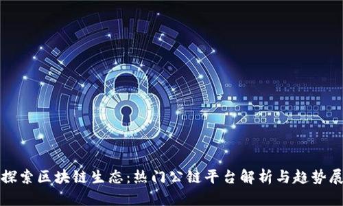 : 探索区块链生态：热门公链平台解析与趋势展望