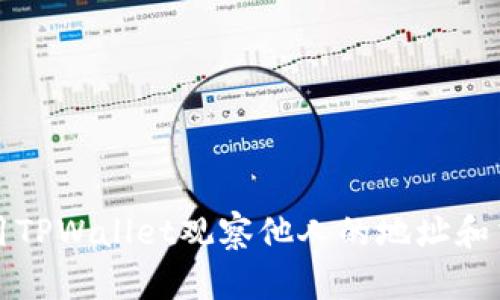 如何使用TPWallet观察他人的地址和交易动态
