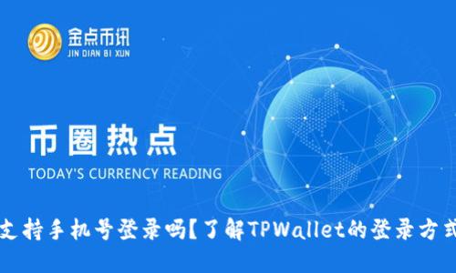 TPWallet支持手机号登录吗？了解TPWallet的登录方式与安全性