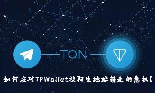如何应对TPWallet被陌生地址转走的危机？