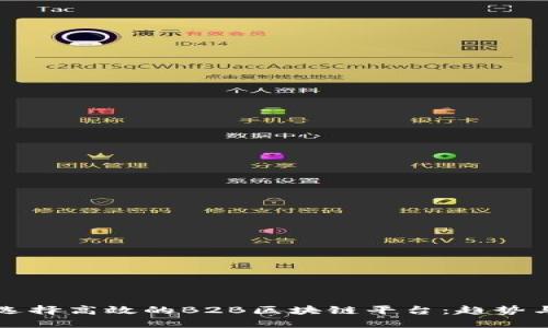 如何选择高效的B2B区块链平台：趋势与实践