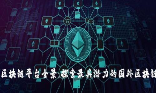 全球区块链平台全景：探索最具潜力的国外区块链项目