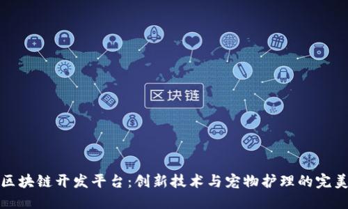 宠物区块链开发平台：创新技术与宠物护理的完美结合