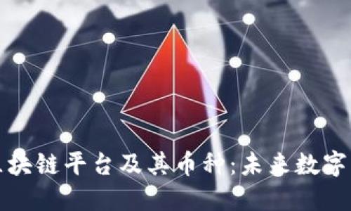 深入了解区块链平台及其币种：未来数字经济的基石