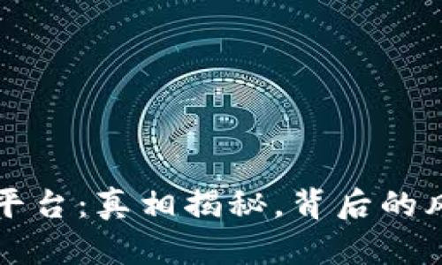 TPWallet平台：真相揭秘，背后的风险与机遇