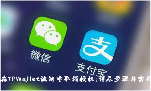 如何在TPWallet波链中取消授权：详尽步骤与实用技巧