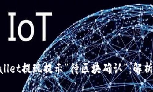 bidiaoTPWallet提现提示“待区块确认”：解析与解决方案