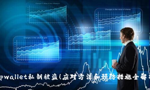 tpwallet私钥被盗！应对方法和预防措施全解析