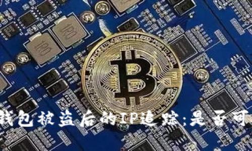 TP钱包被盗后的IP追踪：是否可能？