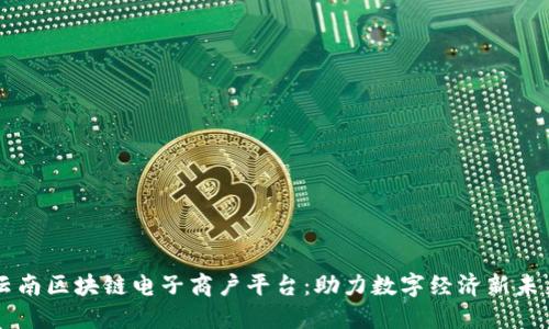 云南区块链电子商户平台：助力数字经济新未来