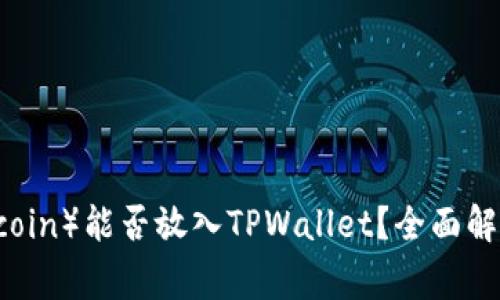 狗狗币（Dogecoin）能否放入TPWallet？全面解析及操作指南