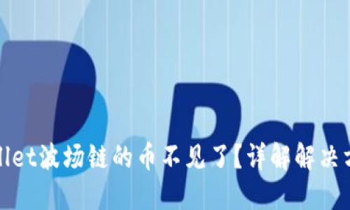 如何处理TPWallet波场链的币不见了？详解解决方案与预防措施