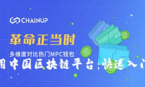 探索如何使用中国区块链平台：快速入门及实用指南