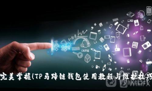 完美掌握！TP马蹄链钱包使用教程与维护技巧