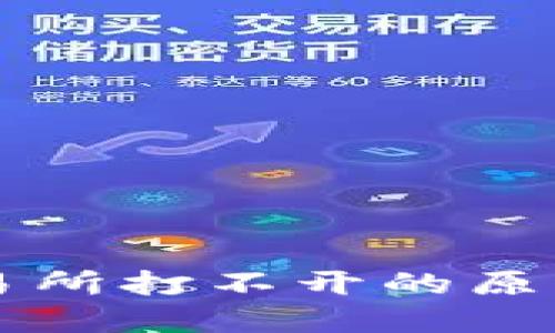TPWallet交易所打不开的原因及解决方案