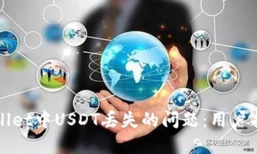 如何解决TPWallet中USDT丢失的问题：用户指南与解决方案