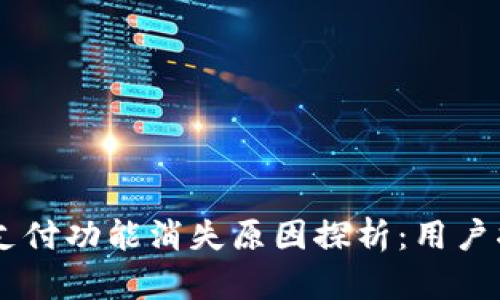 TPWallet面容支付功能消失原因探析：用户指南与未来展望