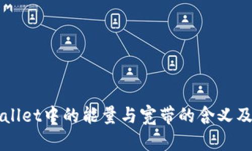 解析TPWallet中的能量与宽带的含义及其重要性